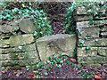 Stone Stile, Rodborough Common