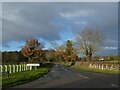 Sign for Cholmondeley, Bickerton Road