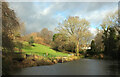 Pond, Old Sneed Park Nature Reserve