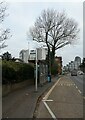 Bus stop in Guildford Road