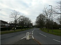 TQ0057 : Looking south-southwest along Egley Road by Basher Eyre