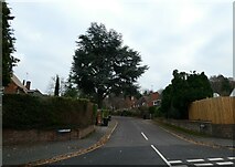 TQ0157 : Looking from White Rose Lane into Bylands by Basher Eyre