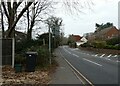 Looking westwards in White Rose Lane