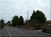 TQ0158 : Telegraph pole in Heathfield Road by Basher Eyre