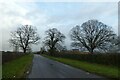 Road near Ellers Farm