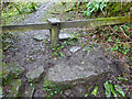 SO8700 : Stone Stile, Minchinhampton by Mr Red
