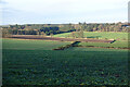 Fields near Elsick