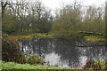 Pond near Lower Welcombe Farm