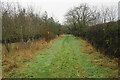 Footpath near Lower Clopton