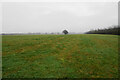 Large open field near Comyns Farm