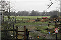 Paddock and compound near Ashcroft House