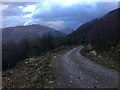 NN0558 : Forestry road above Glenachulish by Steven Brown