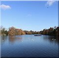 Valentines Park Autumnal beauty 