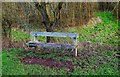 Seat in Sports Ground, Springfield Park, Kidderminster, Worcs