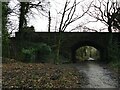 Chester Road bridge over the Whitegate Way