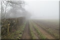 North Downs Way