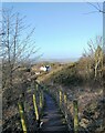 Looking down the path to Blackfyne