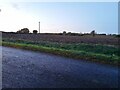 Fields by Mashbury Road near Pleshey