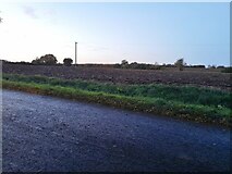 TL6713 : Fields by Mashbury Road near Pleshey by David Howard