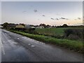 Pleshey Road looking towards Walthambury Farm