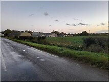 TL6814 : Pleshey Road looking towards Walthambury Farm by David Howard