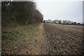 Path leading to Seymour Road