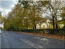 TQ3185 : Highbury Grove by Highbury Fields by David Howard