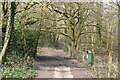 Footpath, Burgh Wood