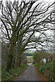 Botterham Lane near Swindon in Staffordshire