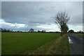 Electric poles beside Long Lane