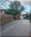 Warning sign in a hedge, Llanarth, Monmouthshire 