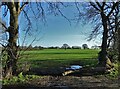 Countryside view from Muscle Hill