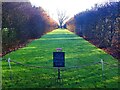 SK4663 : Grassed garden path in Hardwick Hall  by Graham Hogg
