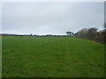 Field on the western side of Carbis Bay