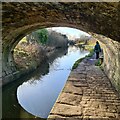 Following the Macclesfield Canal