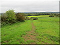 Field edge footpath near to Skurrlywarble Wood