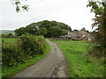 Minor road at Nookfoot Farm