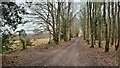 Bridleway near Lower Minley Cottages