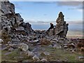 SO3698 : Part of Manstone Rock on the Stiperstones by Mat Fascione