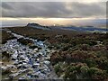 SO3698 : Shropshire Way on the Stiperstones by Mat Fascione