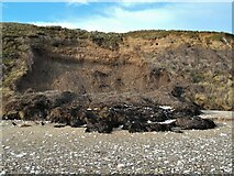 TA1968 : Coastal erosion / land slip, North Sands by JThomas
