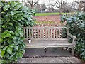 Bench outside Hendon Park