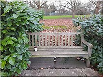 TQ2388 : Bench outside Hendon Park by David Howard