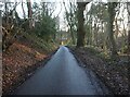 Cicely Mill Lane towards Rostherne