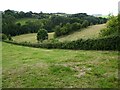 Farmland at Tadwick