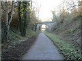 Two bridges across the Cloud Trail