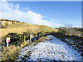 Bridleway heading towards Quarrington Hill