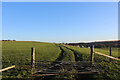 Footpath heading towards Brinscall