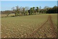 Farmland, Ropley