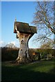 Tree of Imagination, Barrows Brow, Lower Peover